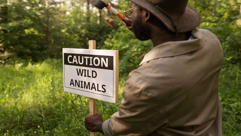 How to Remove Nuisance Wildlife Safely and Quickly?